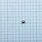 micro photo